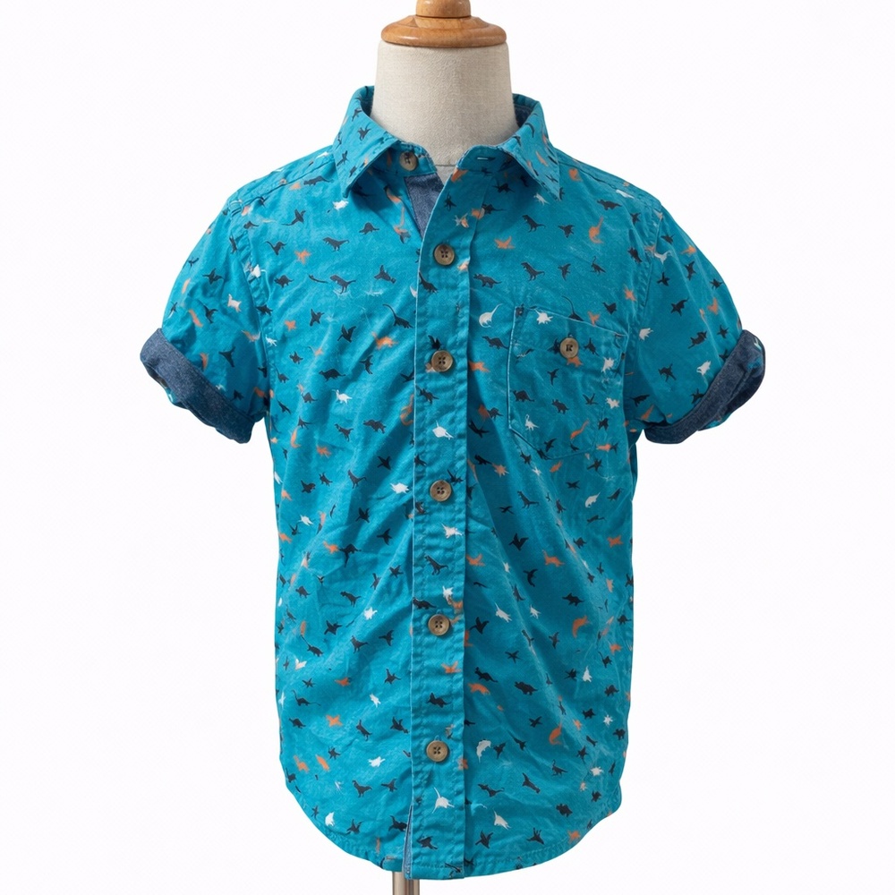 Stortion Boys Dinosaur Button-Down Shirt – Size 4T